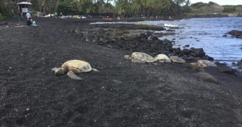 Kona: Choose Your Own Adventure - Why the Private Tour Format Matters