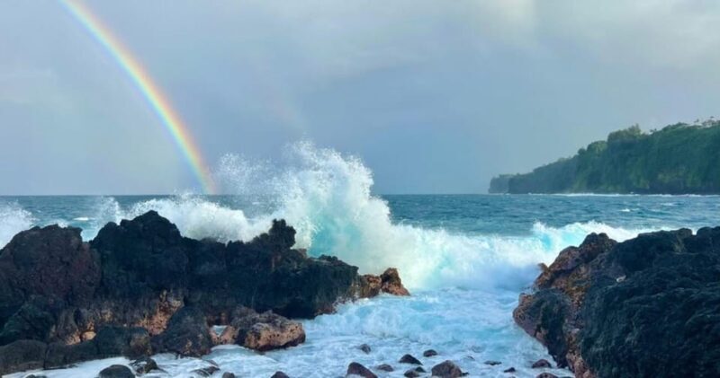 Kona: Choose Your Own Adventure - The Sum Up: Is It Worth It?