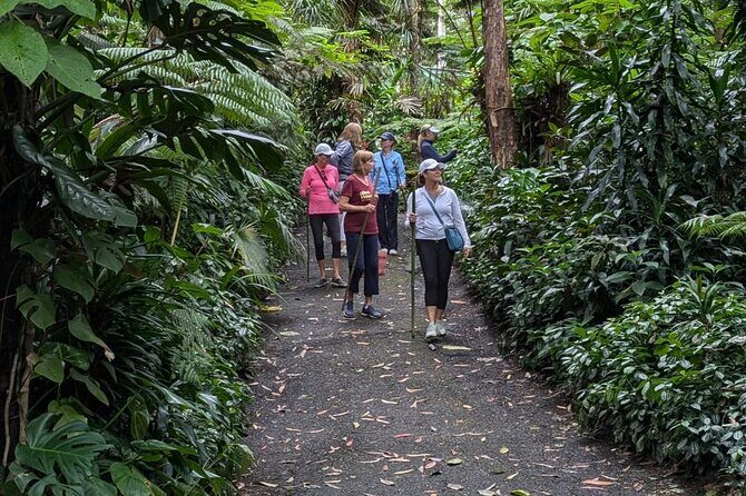 Kona Cloud Forest and Coffee Tour with Sea Turtle Beach Visit - Who Will Love This Tour?
