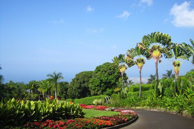 Kona Cloud Forest and Coffee Tour with Sea Turtle Beach Visit - The Sum Up
