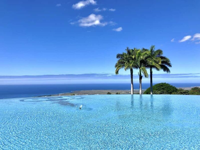 Kona: Cloud Forest, Coffee Farm, and Turtle Beach Tour - Kona: Cloud Forest, Coffee Farm, and Turtle Beach Tour – An Honest Review