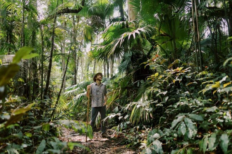 Kona: Cloud Forest, Coffee Farm, and Turtle Beach Tour - Who Would Love This Tour?