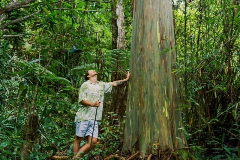 Kona Cloud Forest Sanctuary Montane Jungle Tour (2.5 hrs) - What to Expect from the Kona Cloud Forest Sanctuary Montane Jungle Tour