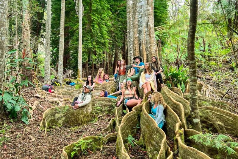 Kona Cloud Forest Sanctuary Montane Jungle Tour (2.5 hrs) - Authentic Perspectives from Past Visitors