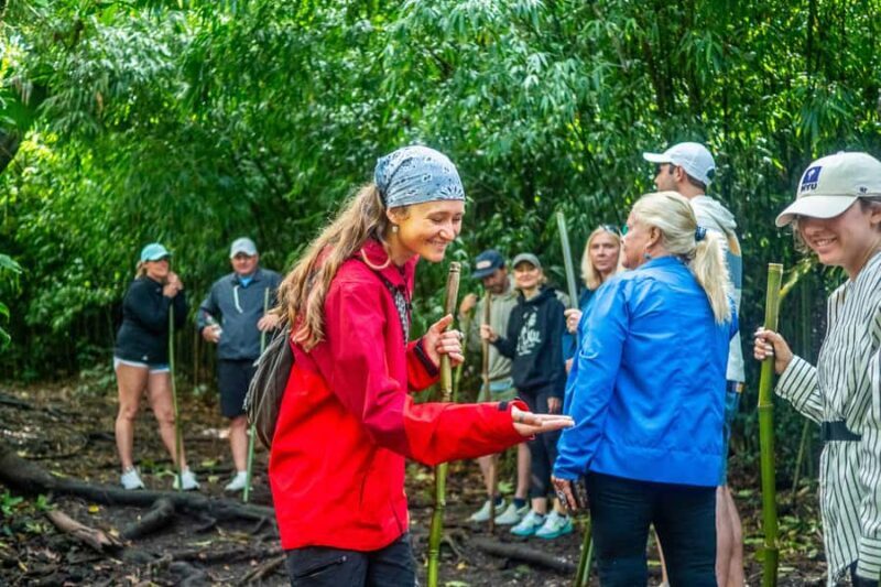 Kona Cloud Forest Sanctuary Montane Jungle Tour (2.5 hrs) - FAQ