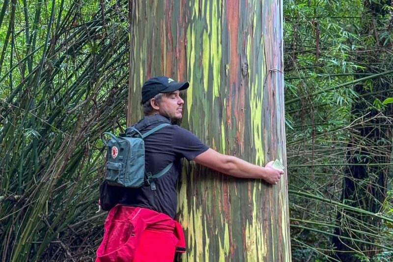 Kona Cloud Forest Sanctuary: Pan-Tropical Trail Guided Walk - Key Points