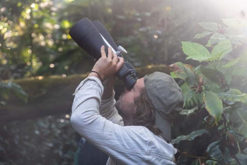 Kona Cloud Forest Sanctuary: Pan-Tropical Trail Guided Walk - The Educational Component