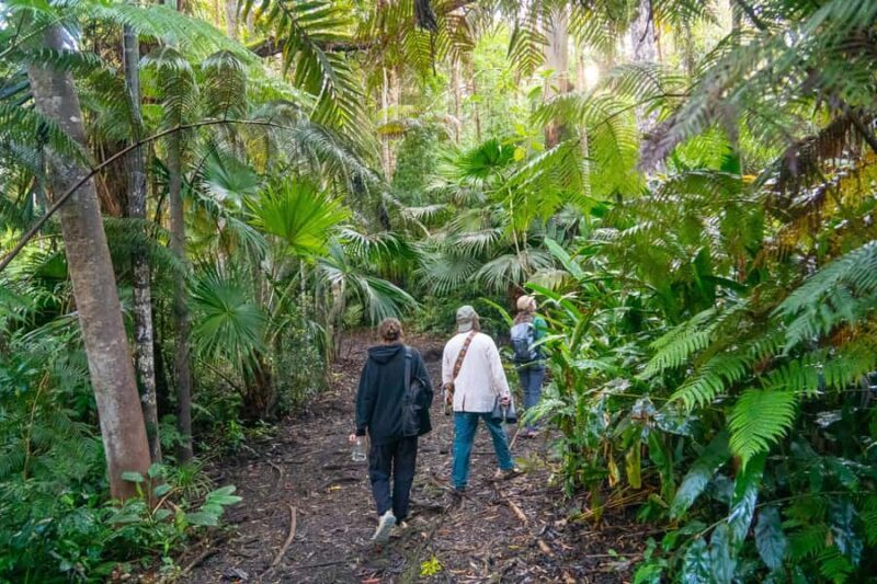 Kona Cloud Forest Sanctuary: Pan-Tropical Trail Guided Walk - Value and Pricing