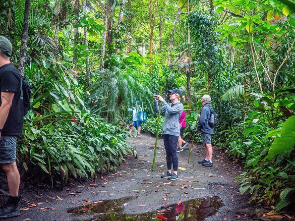 Kona Cloud Forest Sanctuary Pantropical Tour (1.5 hrs) - An In-Depth Look at the Kona Cloud Forest Sanctuary Pantropical Tour