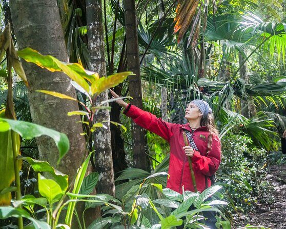 Kona Cloud Forest Sanctuary Pantropical Tour (1.5 hrs) - FAQs