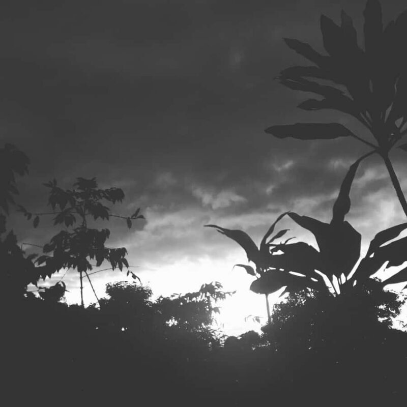 Kona Coast: Rooster Farms Coffee Tasting - Who Should Consider This Tour?