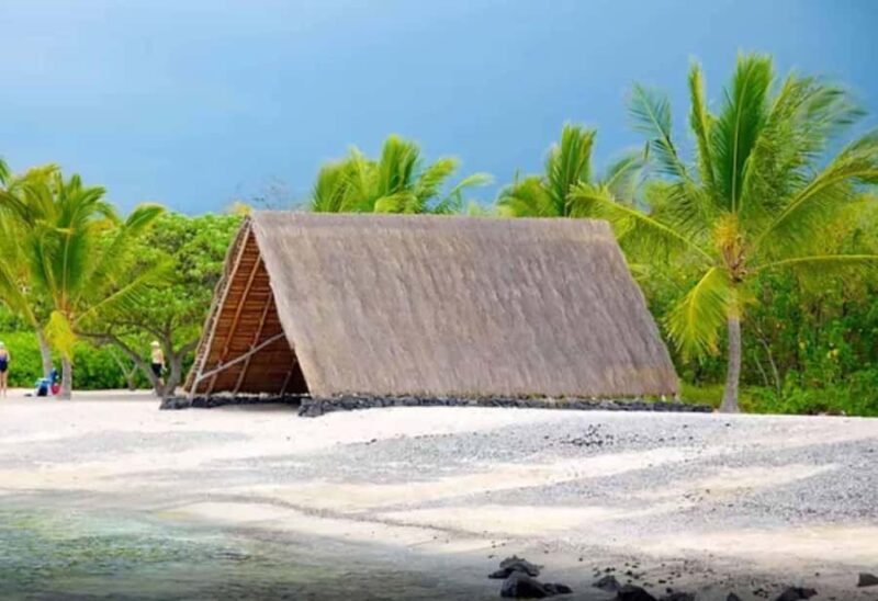 Kona: Coffee and Sea Turtles Tour - Analyzing the Value