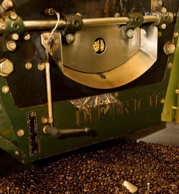 Kona: Coffee and Sea Turtles Tour - Who Will Love This Tour?