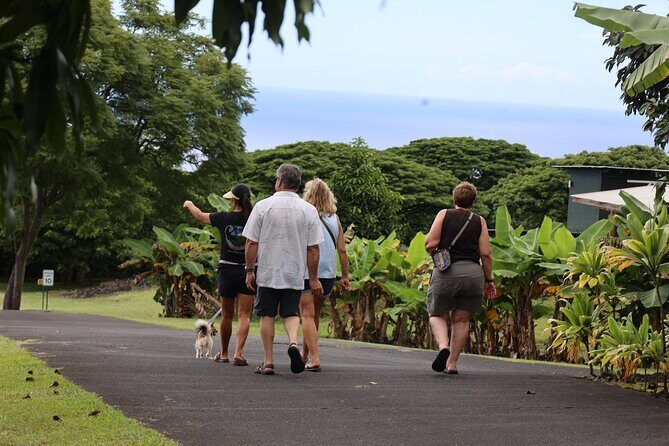 Kona Coffee Farm Tour from Tree to Tasting Room - Frequently Asked Questions