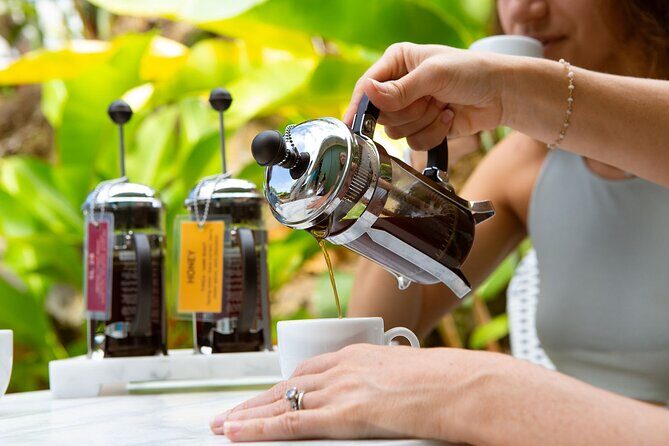 Kona Coffee Tasting: A Farm to Cup Experience - An Introduction to the Kona Coffee Tasting Experience