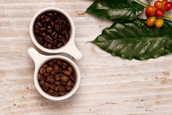 Kona Coffee Tasting: A Farm to Cup Experience - FAQs