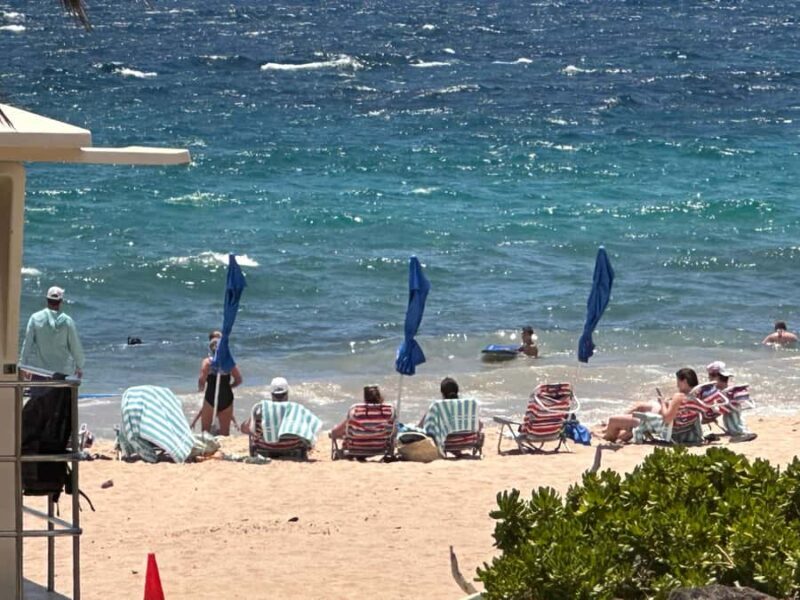 Kona: Cruise Ship Beach Excursion with Tastings - Who Will Love This Tour?