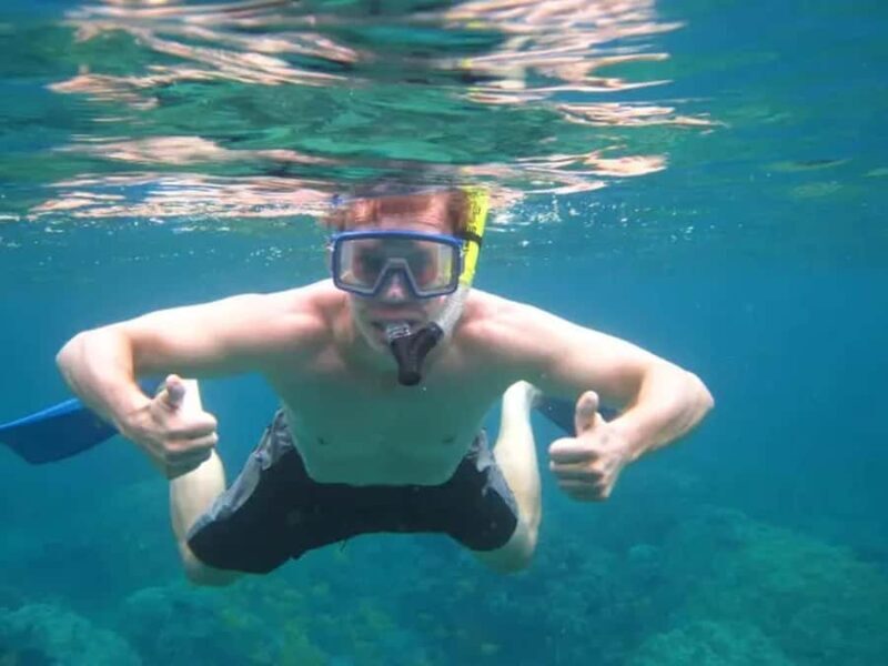 Kona: Deluxe Snorkel Adventure with 2 Snorkeling Spots - Authentic Marine Encounters and What They Mean for You