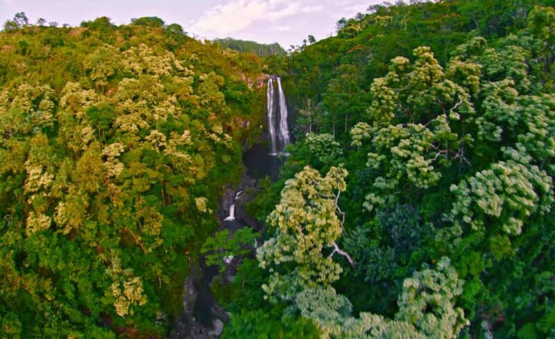 Kona: Flight of Aloha Aerial Journey Experience - FAQ