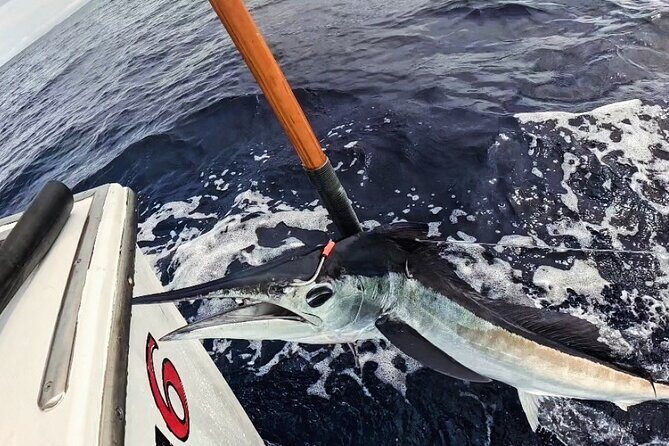 Kona Hawaii Deep Sea Fishing Escapade on the Bite Me 6 - Who Should Consider This Tour?