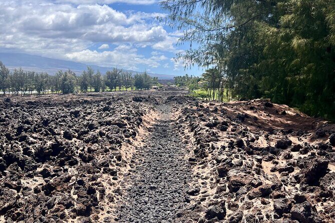 Kona Port: Private History & Farmer's Market Excursion - Wrapping It Up