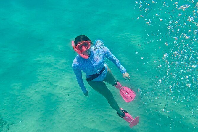 Kona Snorkeling Adventure Open Charter - The Itinerary in Detail