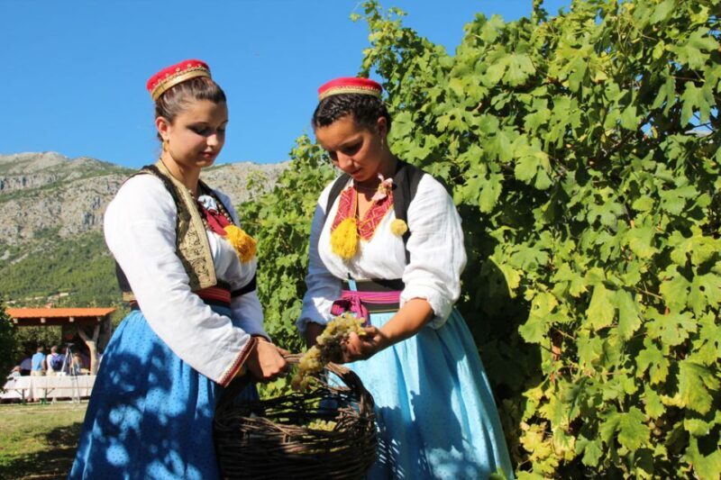 Konavle Valley: Private Half-Day Tour with Wine Tasting - Key Points: