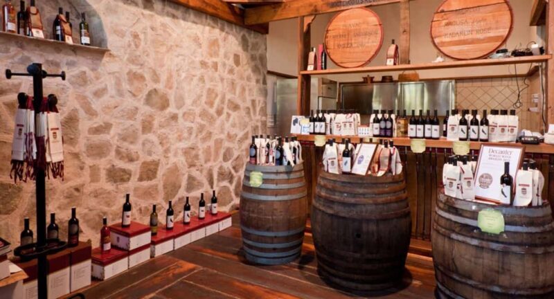 Konavle Valley: Wine tasting at Dubrovnik Cellars - In-Depth Look at the Dubrovnik Cellars Experience