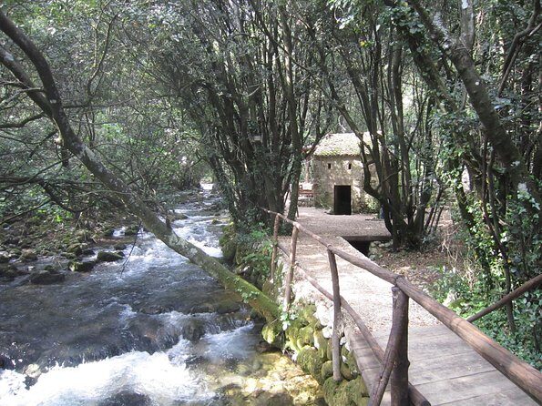 Konavle Valley Wine Tour from Dubrovnik with Train Ride and Wine Tasting - Practical Tips for Travelers