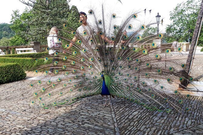 Konopiste Castle Private Tour from Prague - FAQs