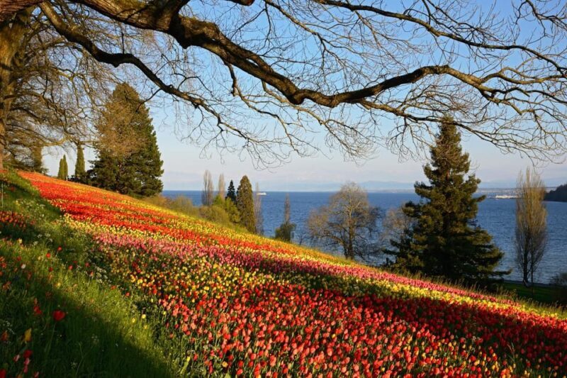 Konstanz: Mainau Island Entry Ticket - FAQ