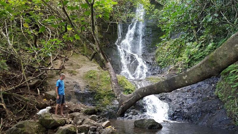 Koolau Waterfall Hike & Downhill Bike - Key Points