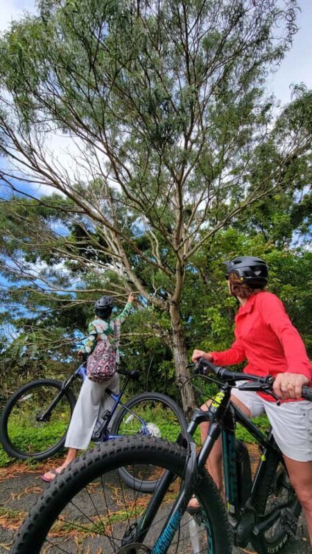 Koolau Waterfall Hike & Downhill Bike - FAQ