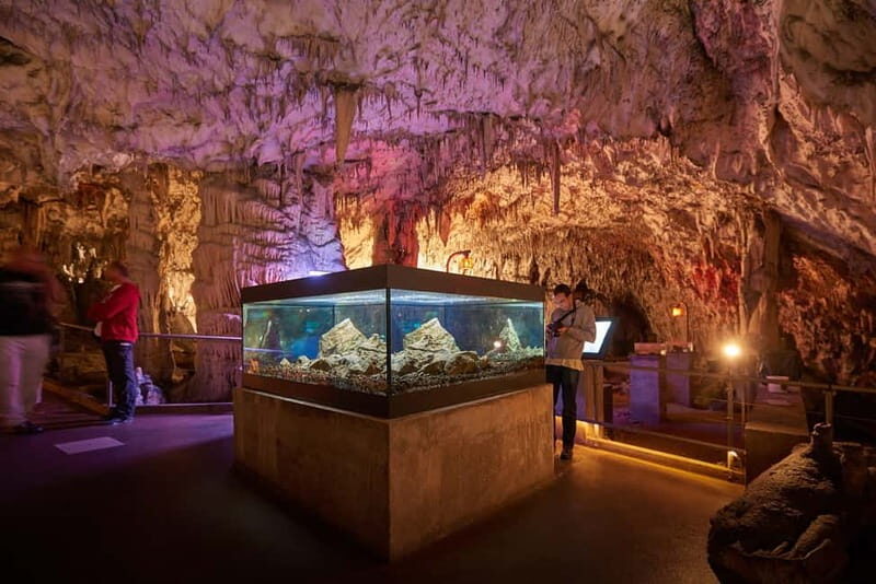 Koper: Postojna Cave and Predjama Castle Tour and Tickets - Who Will Love This Tour?