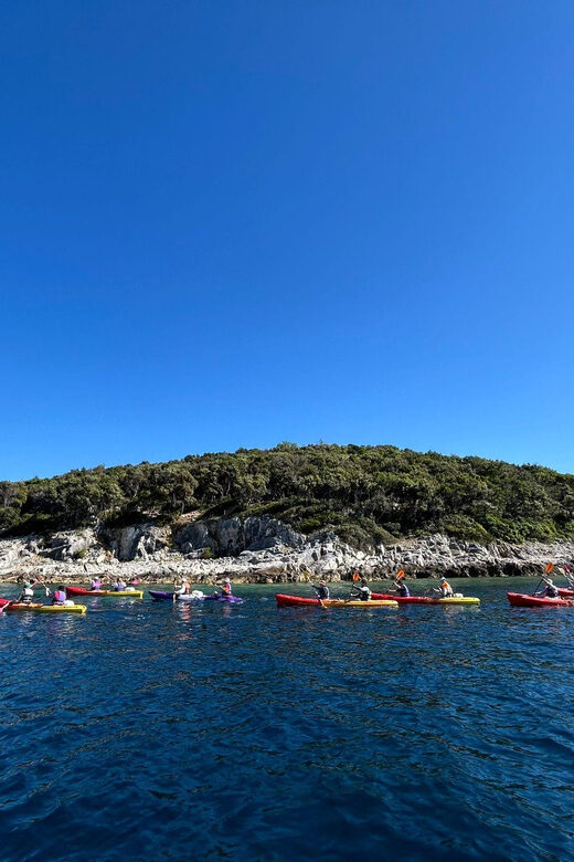 Korcula Archipelago Kayak Tour - Korcula Archipelago Kayak Tour: A Complete Guide to an Authentic Croatian Adventure