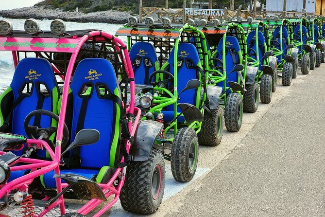 Korcula Island Buggy Safari Tour Local Food & Wine Tasting - Final Thoughts: Who Will Love This Tour?