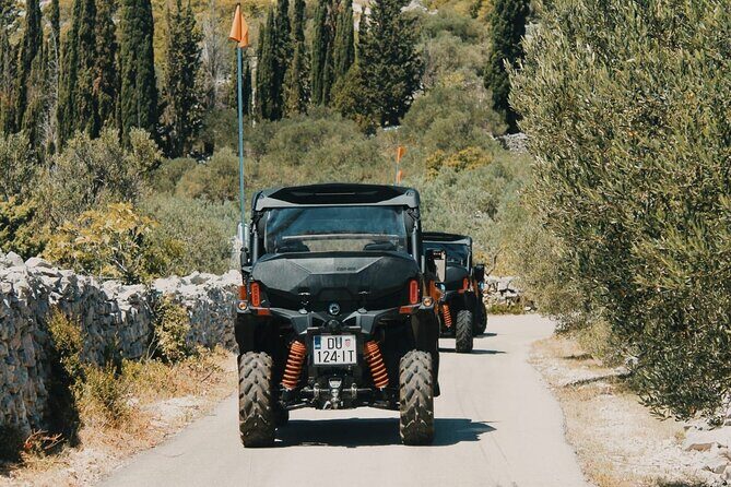 Korcula Island Private Buggy Beach Hunting Safari with lunch - Who Should Consider This Tour?
