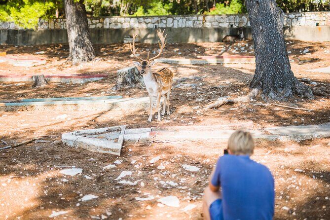 Korcula Islands Picnic Boat Tour - What About the Price?