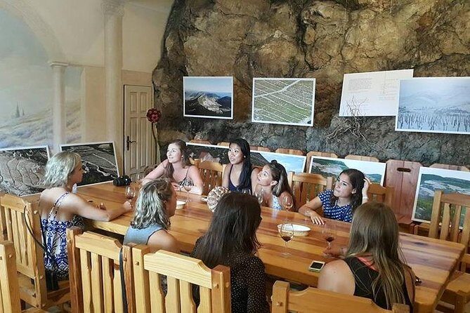 Korcula & Peljesac Full Day Private Tour from Dubrovnik - Value for Money