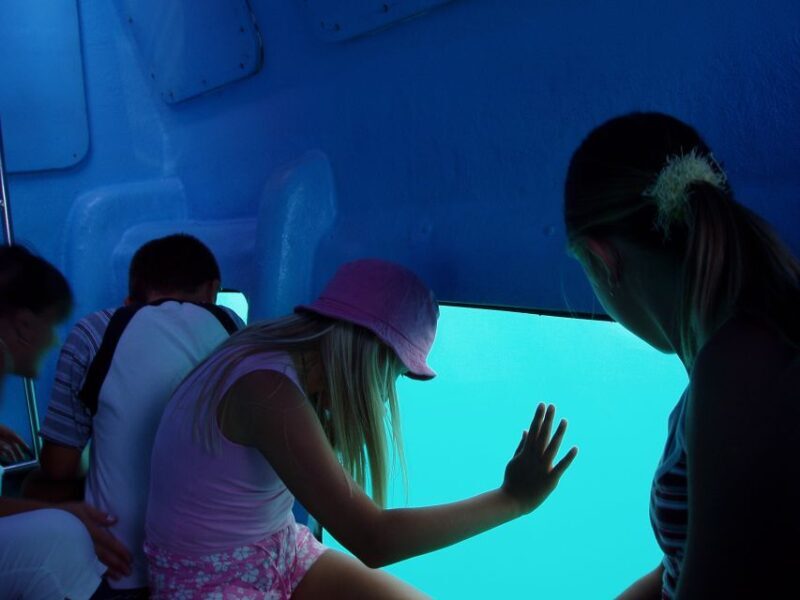 Korcula: Semi-Submarine Tour - Authentic Experiences & Real Traveler Insights