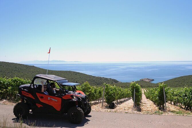 Korcula Snorkeling Private Tour - What Travelers Can Expect