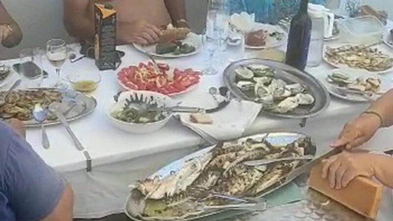 Korcula, Ston, Wine Tasting and Lunch - Tour from Dubrovnik - The Sum Up