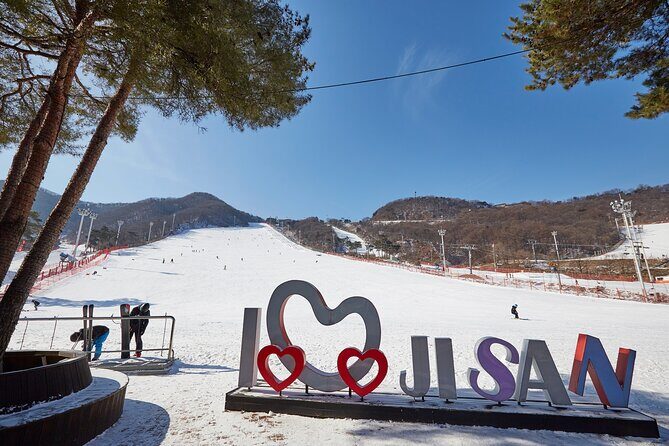 Korea Ski Tour from Seoul - Jisan Forest Resort - Experience the Korea Ski Tour from Seoul - Jisan Forest Resort