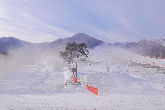 Korea Ski Tour from Seoul - Jisan Forest Resort - Key Points