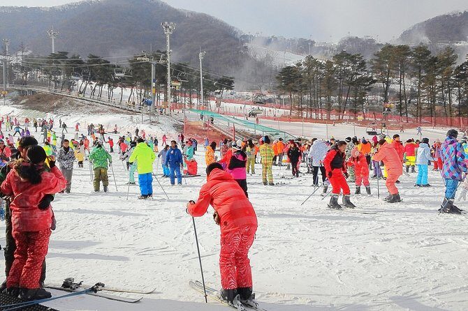 Korea Ski Tour from Seoul - Jisan Forest Resort - Who Is This Tour Best For?