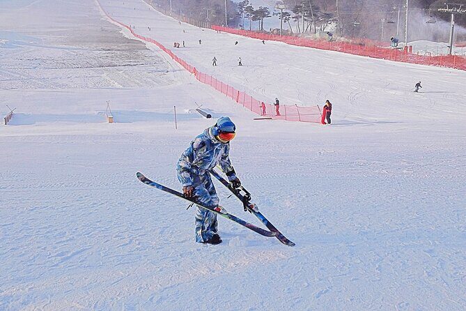 Korea Ski Tour from Seoul - Jisan Forest Resort - Final Thoughts: Is This Tour Worth It?