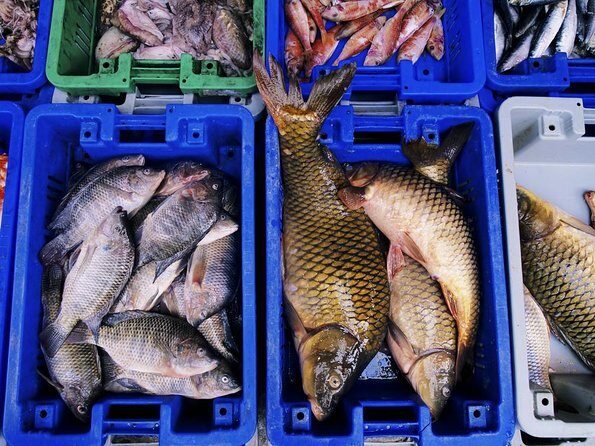 Korean Market Adventure with Chef Yie - Noryangjin Fish market - Key Points