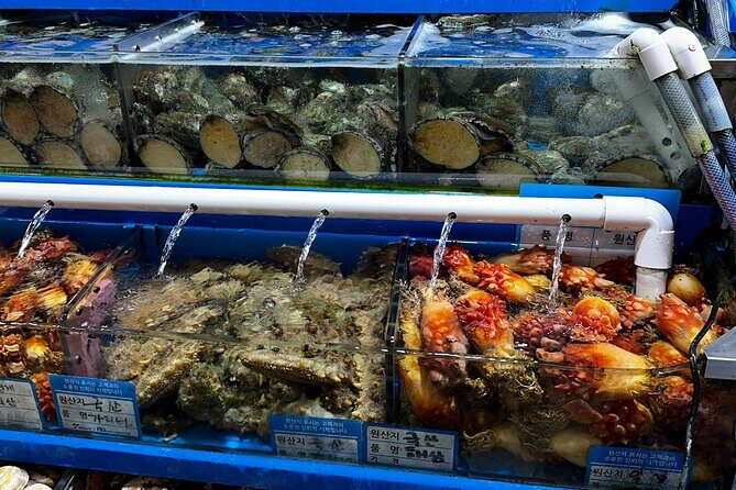 Korean Market Adventure with Chef Yie - Noryangjin Fish market - The Sum Up