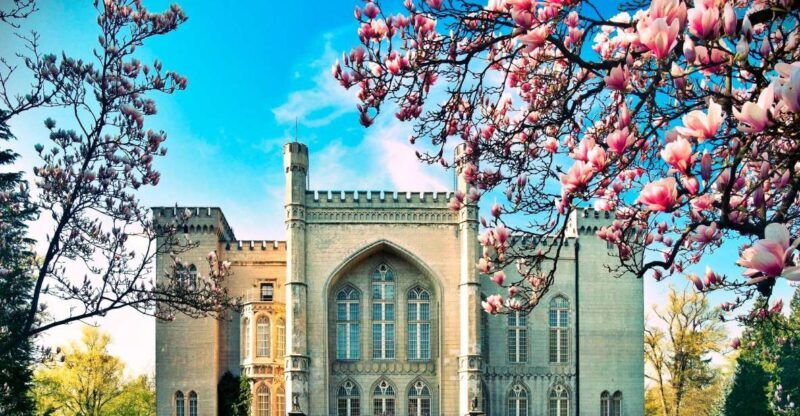 Kornik Castle and Rogalin Palace Half-Day Private Tour - Key Points