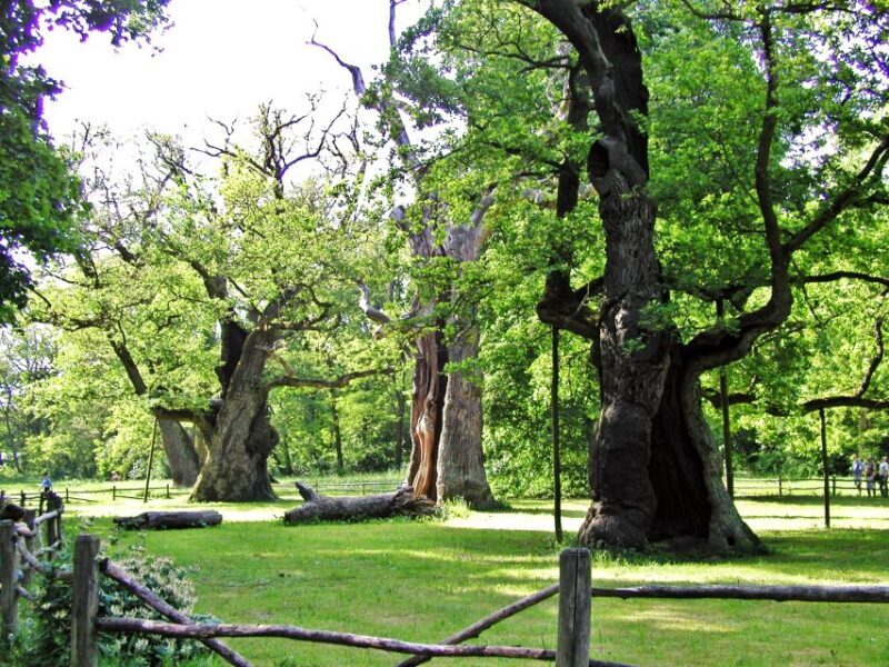 Kornik Castle and Rogalin Palace Half-Day Private Tour - FAQs